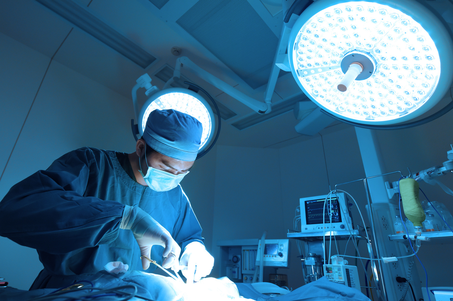 veterinarian surgery in operation room