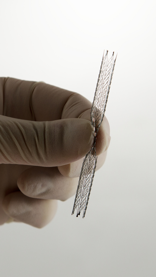 stent for endovascular surgery